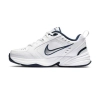 Nike Air Monarch Iv Erkek Spor Ayakkabı