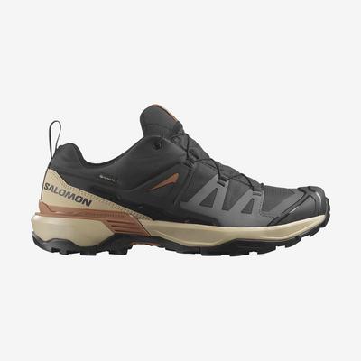 Salomon X ULTRA 360 GTX Gri Karamel