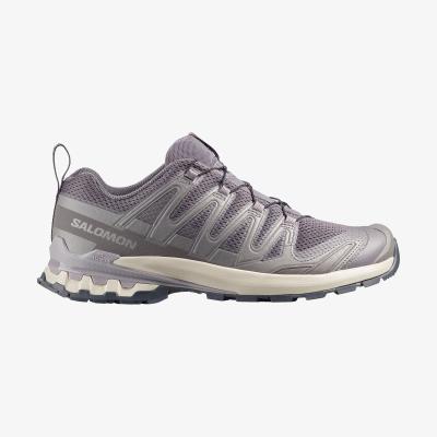 Salomon XA PRO 3D V9 Gri